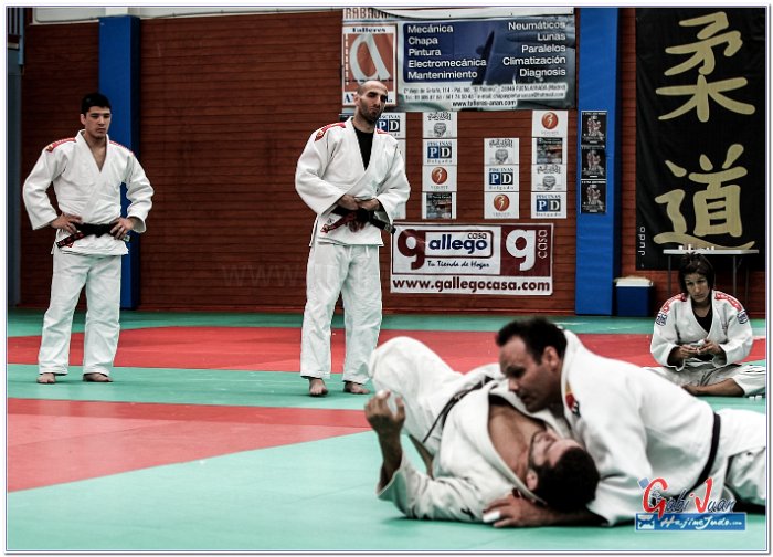 STAGE JUDO MADRID 14 00035